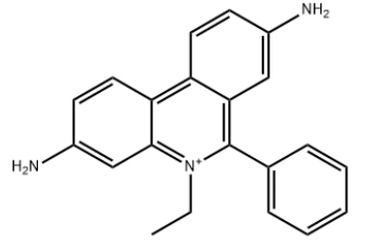 产品采购：溴化乙啶 CAS 1239-45-8