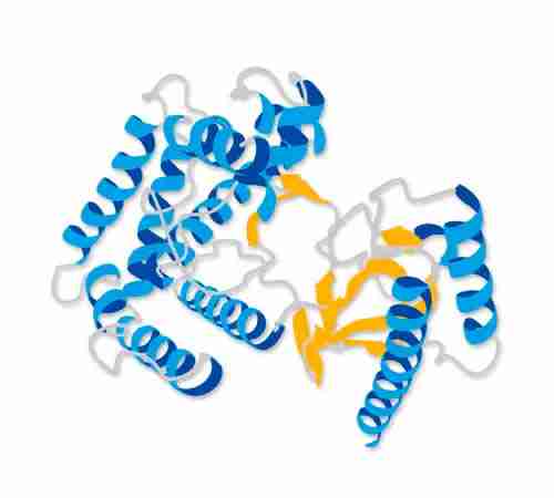 产品采购：牛血清白蛋白 CAS 9048-46-8