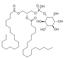 产品采购：磷脂酰肌醇(来自甘氨酸) CAS 97281-52-2