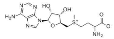 产品采购：S-腺甘基蛋氨酸 CAS 17176-17-9