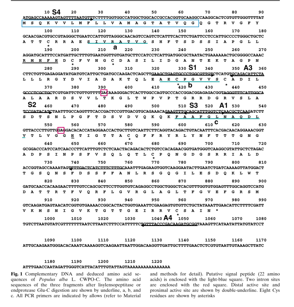 产品采购：重组Populus alba阳离子细胞壁结合过氧化物酶（CWPO-C，成熟肽，去除22 aa信号肽）