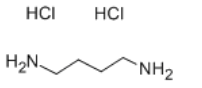 Structure of 1,4-Diaminobutane dihydrochloride CAS 333-93-7