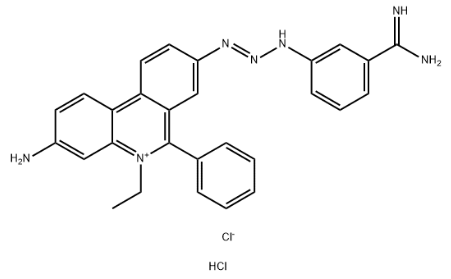 Structure of 8-[3-(m-amidinophenyl)-2-triazeno]-3-amino-5-ethyl-6-phenylphenanthridinium chloride hydrochloride
